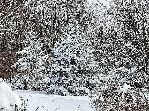 View from the front door