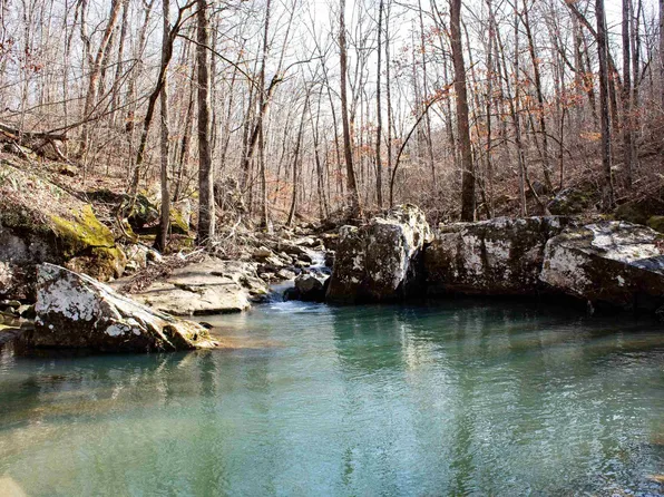 (undisclosed Address), Marshall, AR 72650