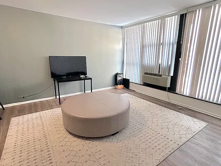 2921 S Michigan Ave #103 — Photo 4
