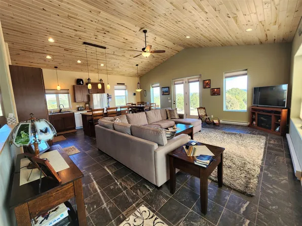 1739 18th Trl, Cotopaxi, CO 81223