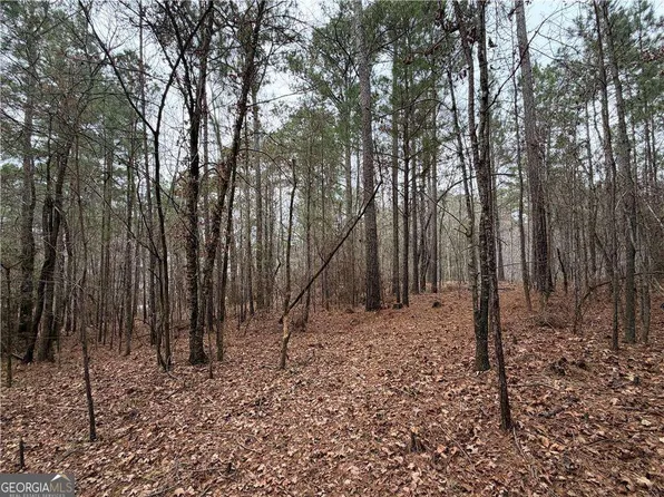 1700 Northwoods Dr, Greensboro, GA 30642
