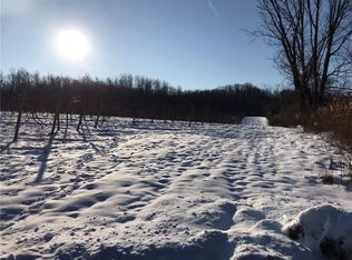 9621 E Side Hill Rd, Ripley, NY 14775