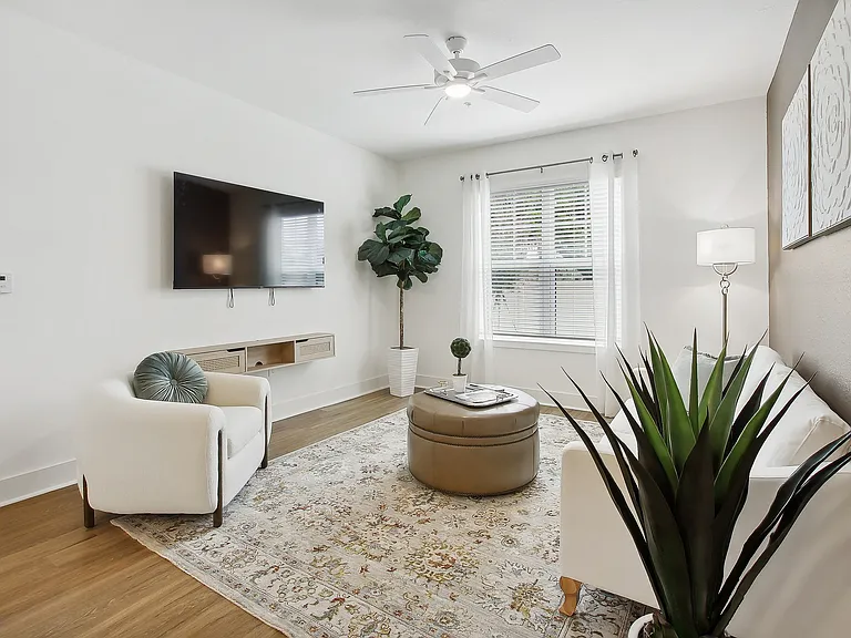 Chic living room with stylish decor, featuring a cozy white couch, elegant area rug, large flat-screen TV, and lush green plant, bathed in natural light.
