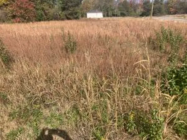 (undisclosed Address), Russellville, AR 72801