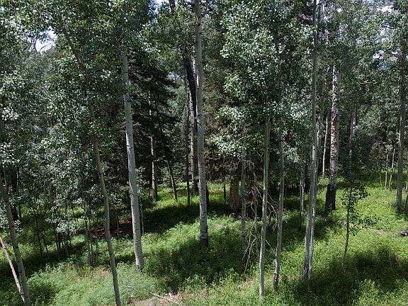 3rd image of Tbd Saddle Horn Ln