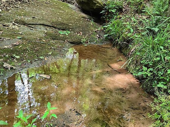 4th image of 516 Franklin Finley Rd
