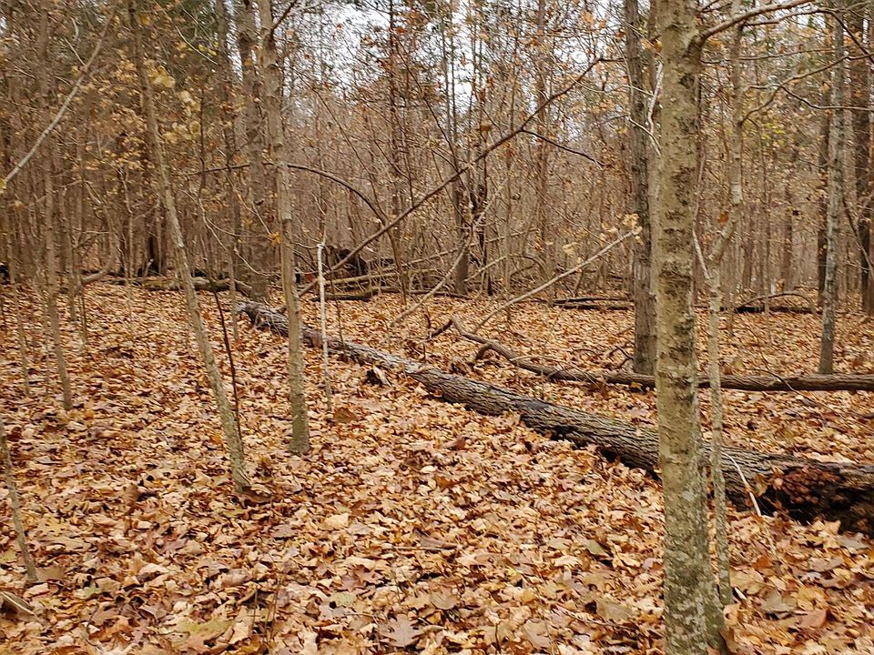 2nd image of 2070 Louisville Rd