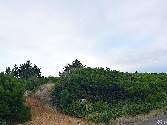 3rd image of 364 Sand Dune Ave SW