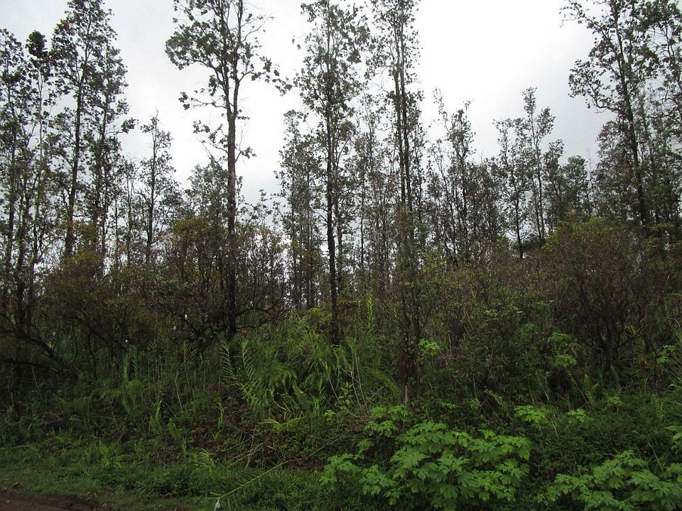 1st image of Plumeria Dr Lot 14