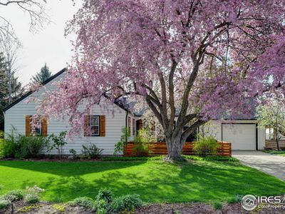 1320 Morgan St, Fort Collins, CO, 80524