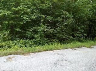 37 Black Brook Rd, Woodstock, ME 04219