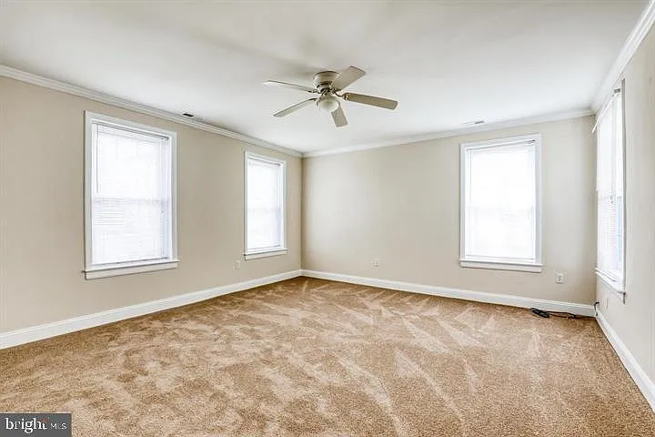 219 Millwood Ave #2 — Photo 5