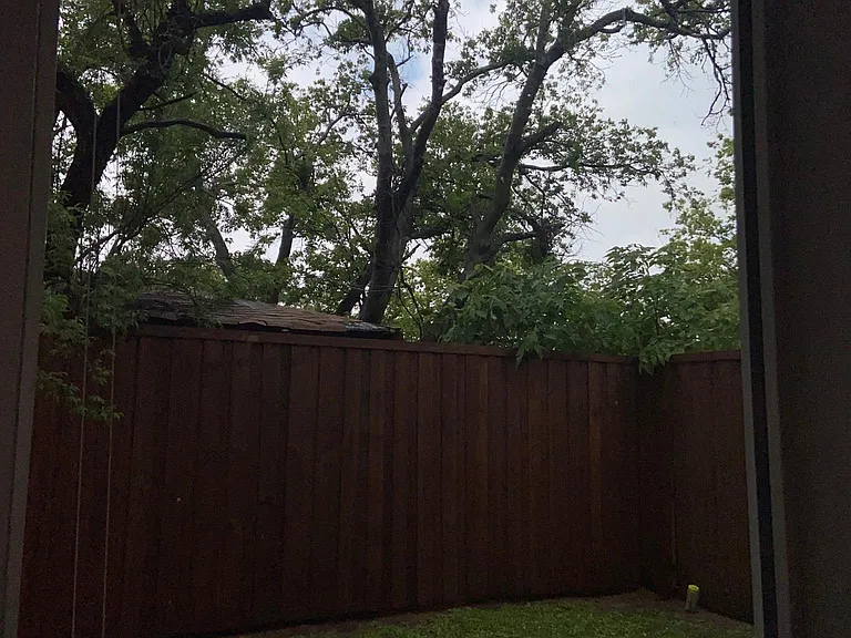 3525 Rutz St — Photo 33
