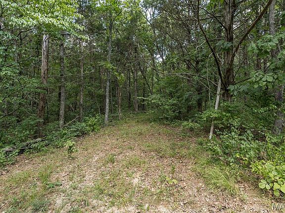 3rd image of 0 Dodson Ln