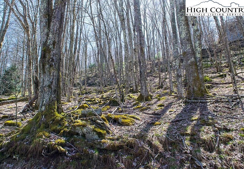 2nd image of 219 Lakeledge Rd