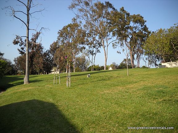Open Space behind Patio