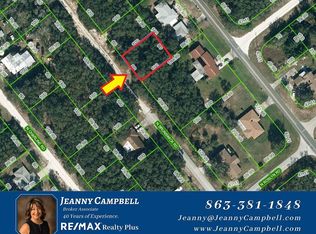 2432 N Brunswick Rd, Avon Park, FL 33825