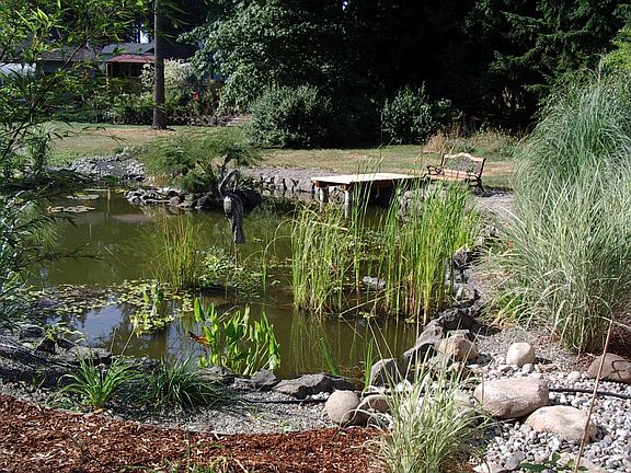 The pond with island and dock.