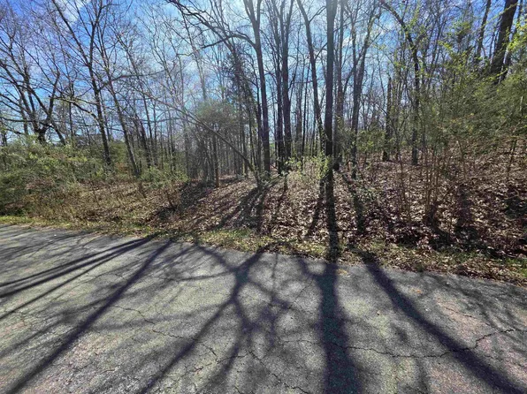 L-71 Oklahoma Cir #B, Cherokee Village, AR 72529