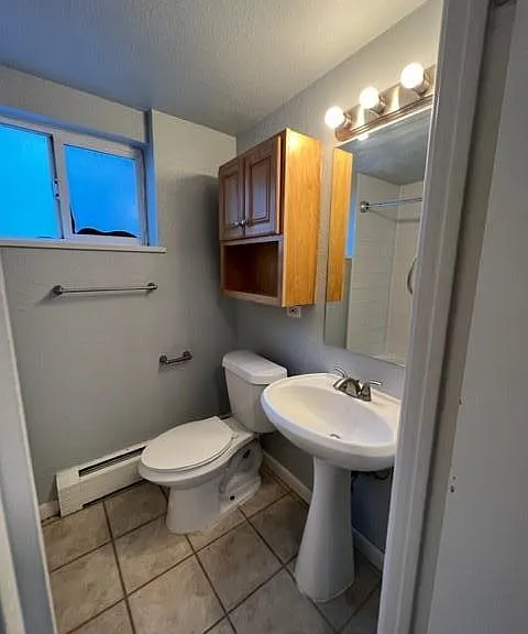 250 N Pearl St #308 — Photo 18