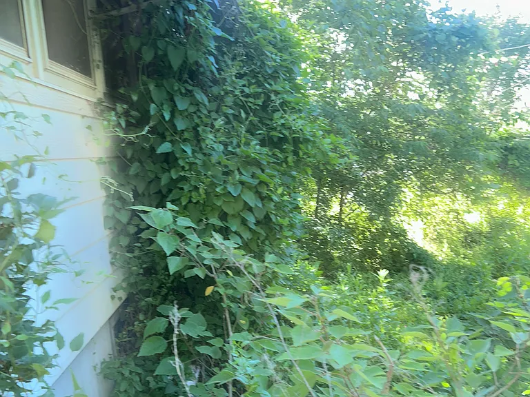 1236 Gimblin St — Photo 11