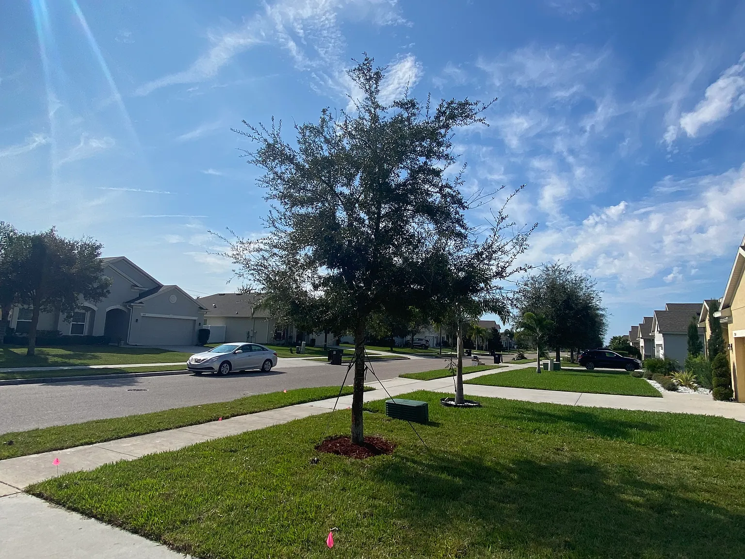 5 bed, 3505 sqft, $3,095 — Photo 3