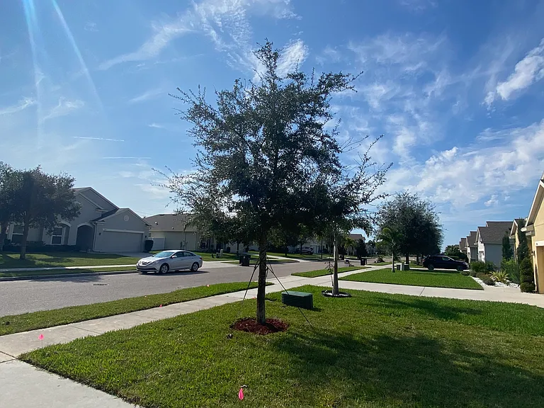 698 Bay Bridge Cir — Photo 3