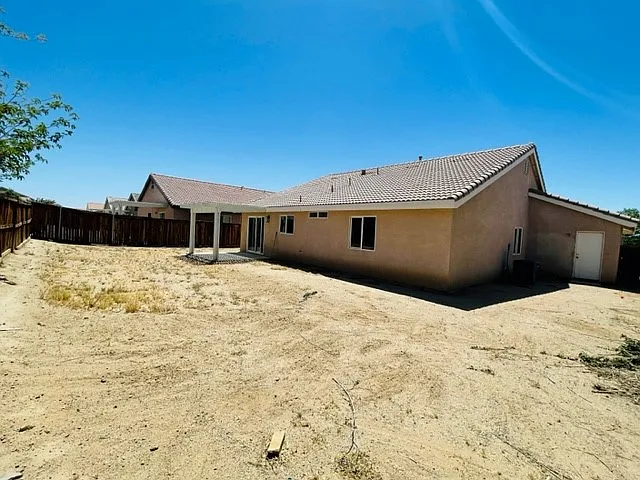 Back yard