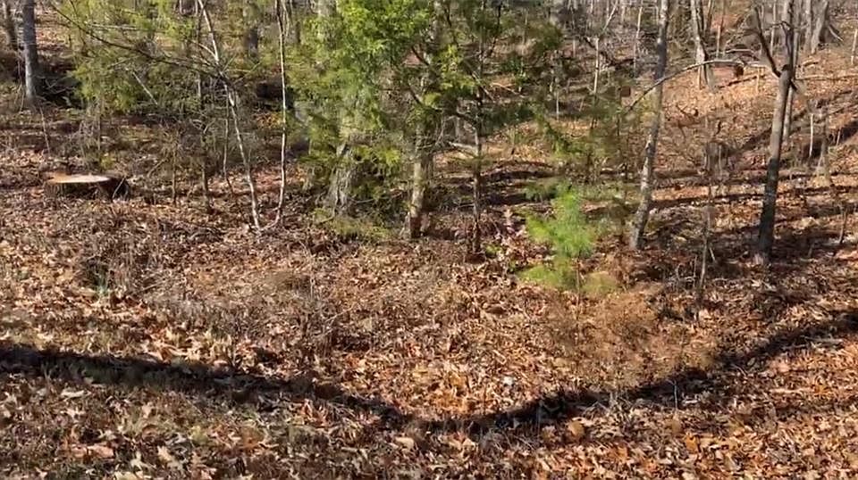 1st image of 1563 War Hill Park Rd #A