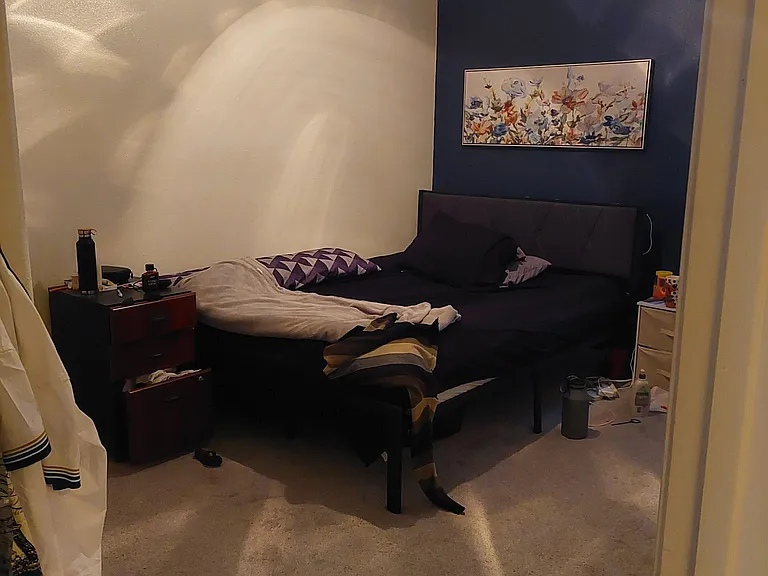 Primo Colores — Photo 1