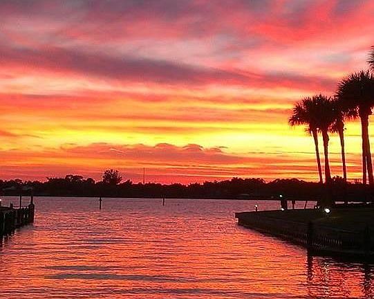 4th image of 1950 SW Palm City Rd APT 13301