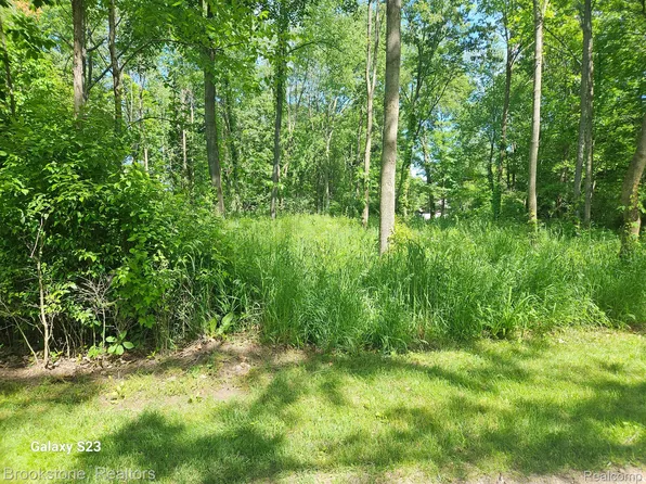 0 Hunt's Fork Dr, Linden, MI 48451