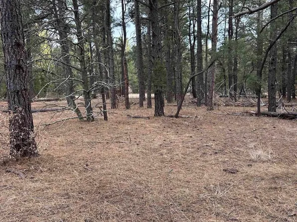 (undisclosed Address), Las Vegas, NM 87701