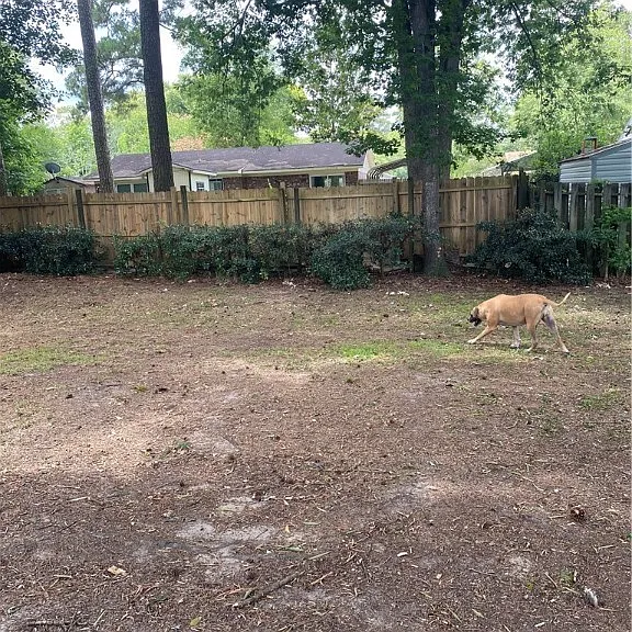 110 Bald Eagle Dr — Photo 11