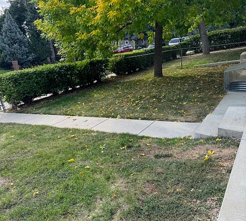 front lawn w/covered window wells