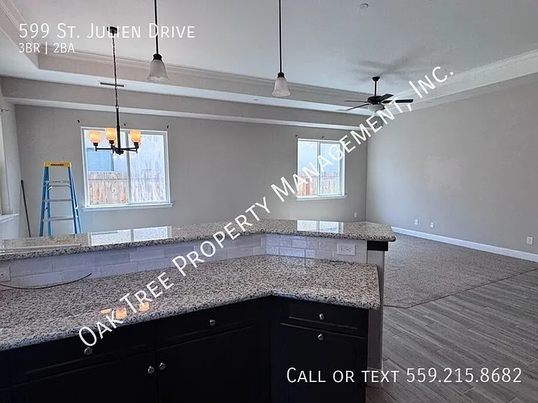 599 Saint Julien Dr — Photo 8