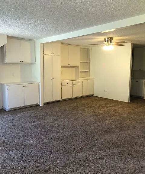 393 Shady Ln #109 — Photo 3
