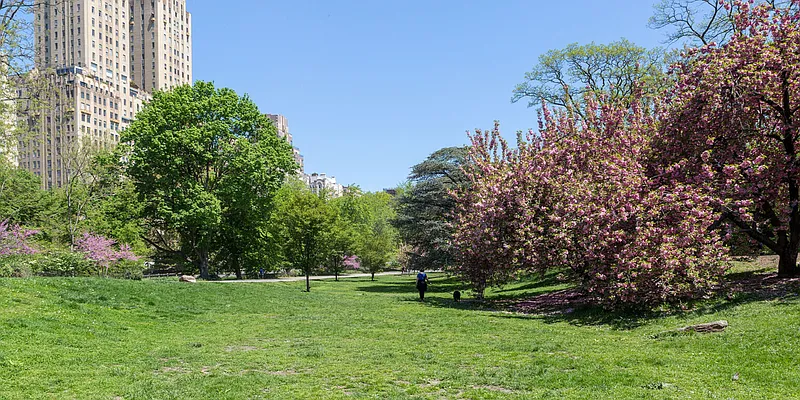 Rented by Rachel Realty | media 39