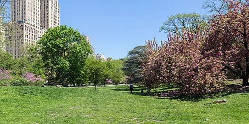 Rented by Rachel Realty