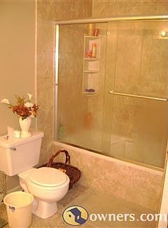 Master suite bathroom