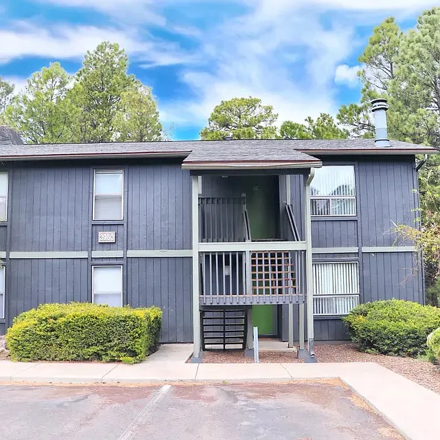 The Place At Forest Ridge — Photo 4