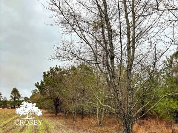 Tbd Plowden Mill Rd, Alcolu, SC 29001