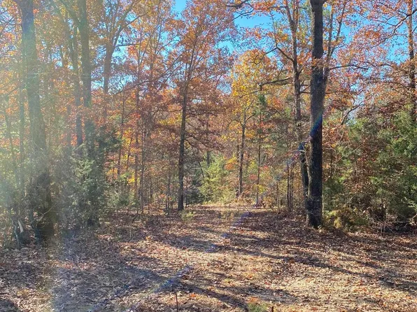 12C Jordan Landing Rd, Calico Rock, AR 72519