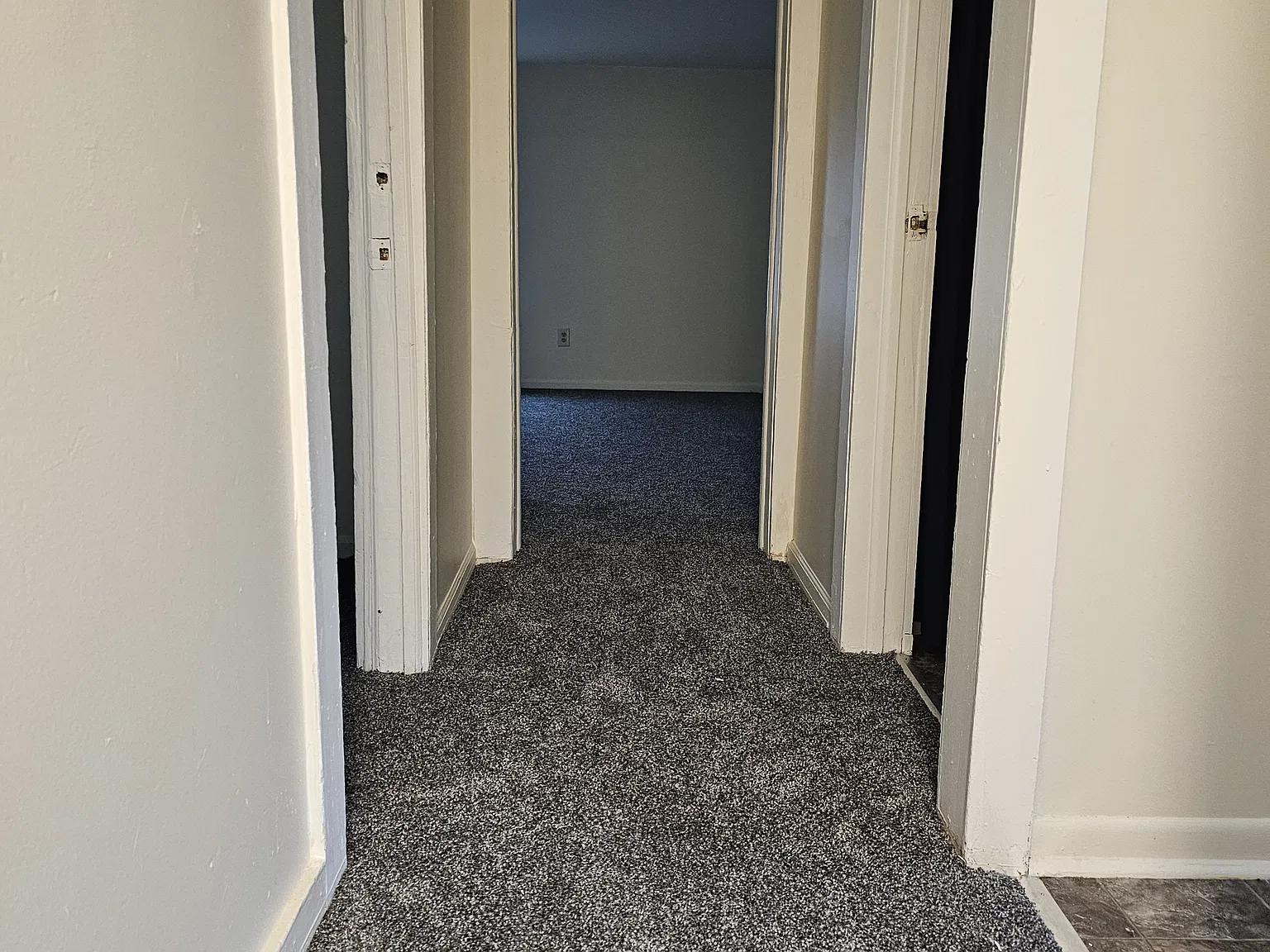 1 bed, 650 sqft, $900 — Photo 3