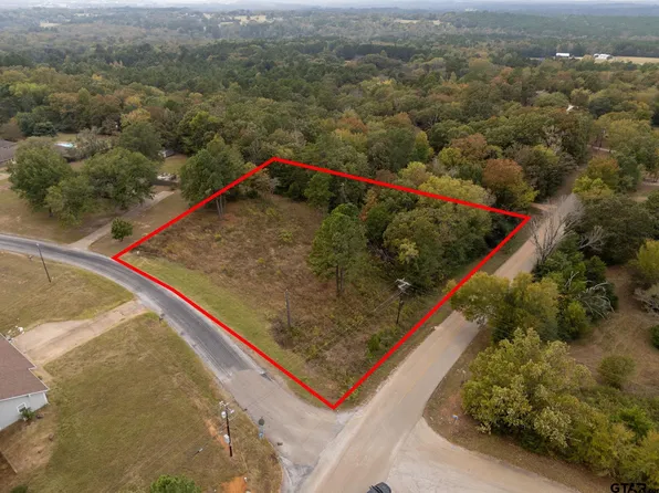 2173 Highland Pl, Whitehouse, TX 75791