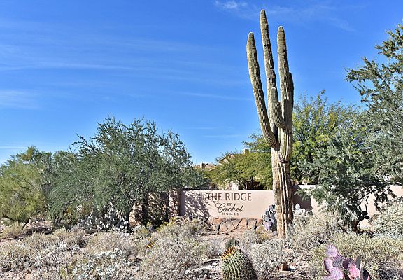 Cachet at McDowell Mountain - 3