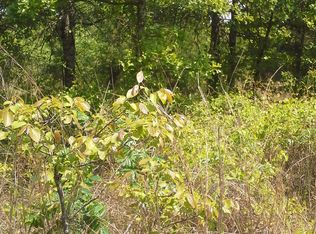 00 Stone Mountain, Conway, AR 72032