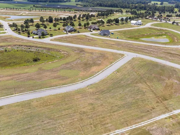 161 Weeping Willow Court, Snow Hill, NC 28580