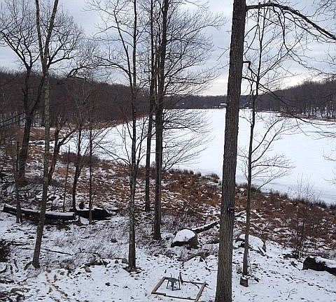 Winter View from Deck