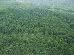 Hurricane Valley Rd, Ten Mile, TN 37880